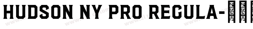 Hudson NY Pro Regula字体转换